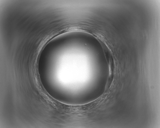 X0000067000289200603271347