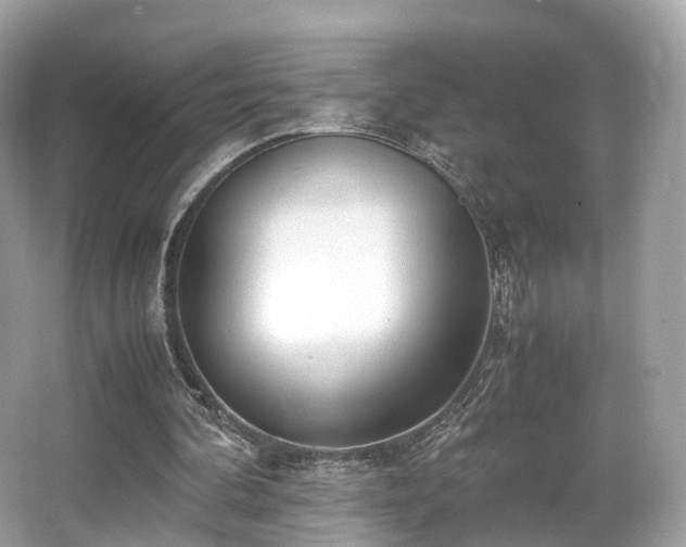 X0000067000292200603271347