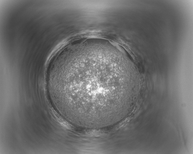 X0000067000293200603271347
