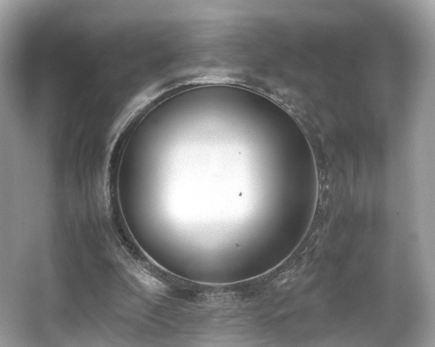 X0000067000296200603271347