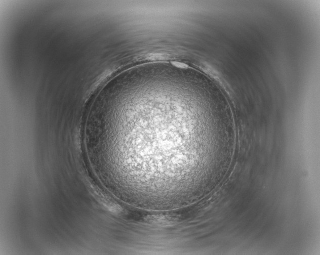 X0000067000297200603271347