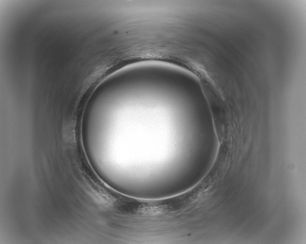 X0000067000299200603271347