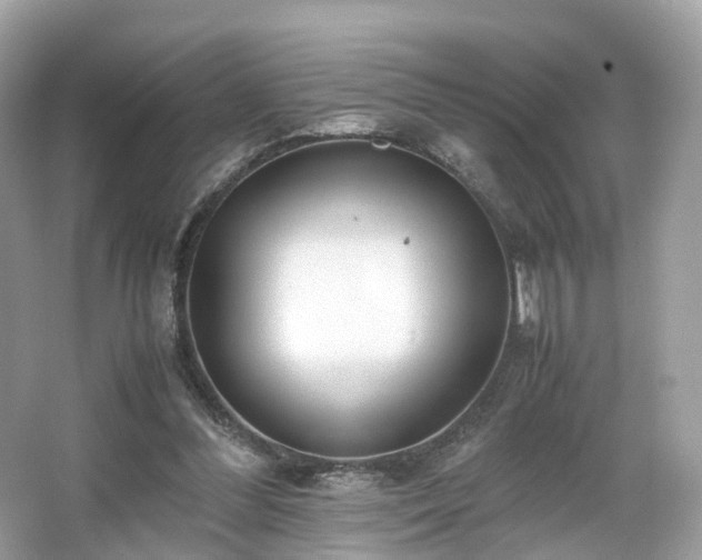 X0000067000300200603271347