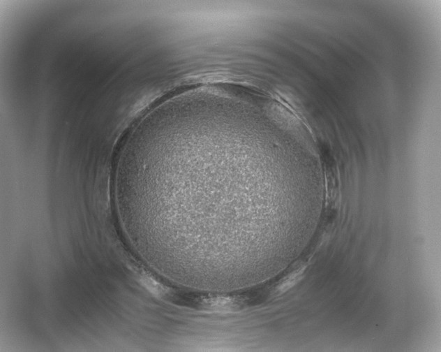 X0000067000301200603271347