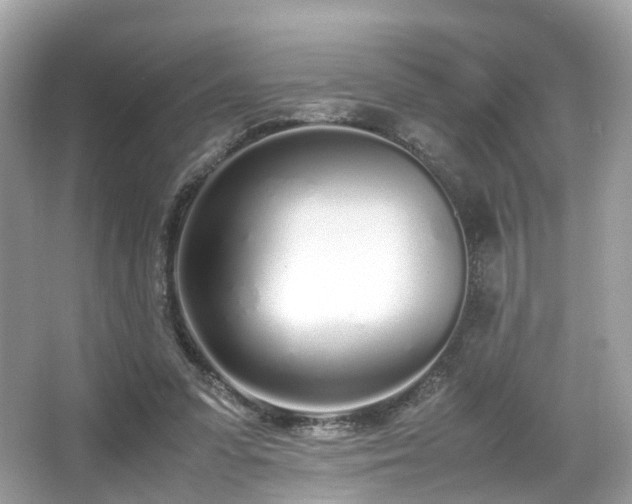 X0000067000303200603271347