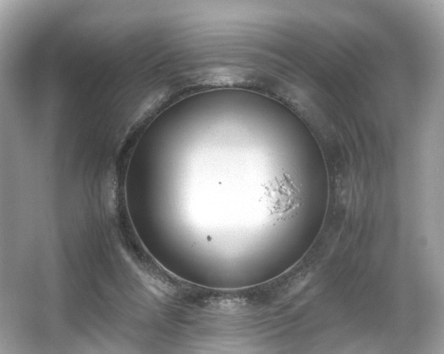 X0000067000304200603271347