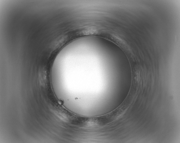 X0000067000308200603271347