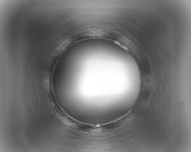 X0000067000309200603271347
