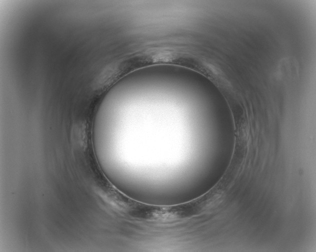 X0000067000311200603271347