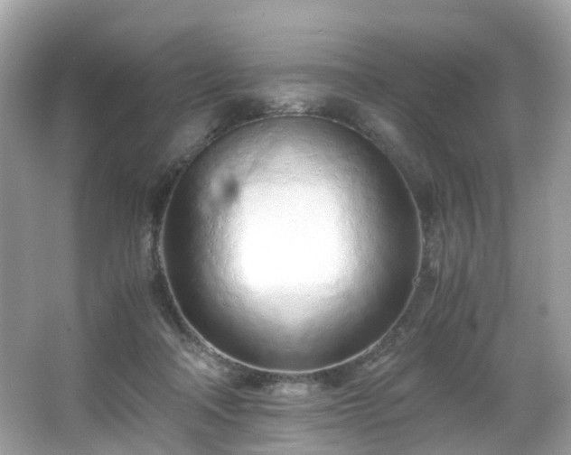 X0000067000314200603271347
