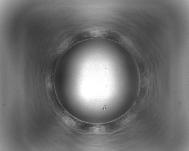 X0000067000317200603271347