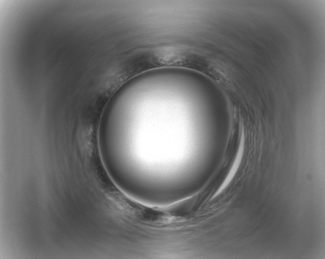 X0000067000319200603271347