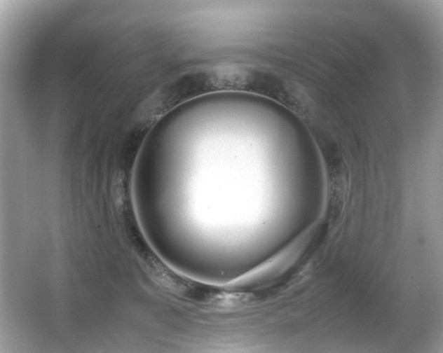 X0000067000323200603271347