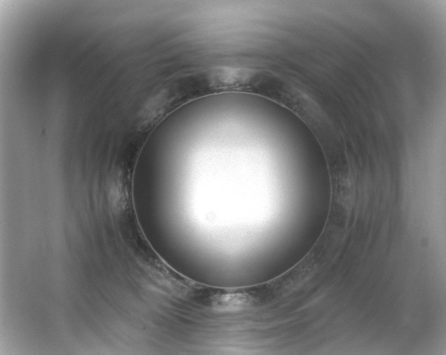 X0000067000324200603271347