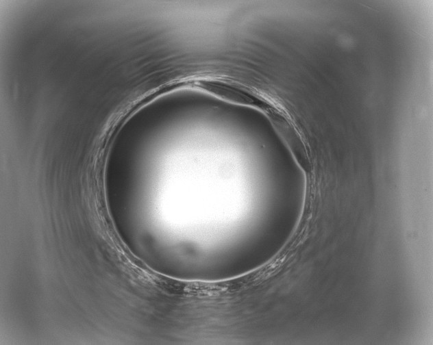 X0000067000337200603271346
