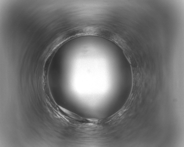X0000067000338200603271346