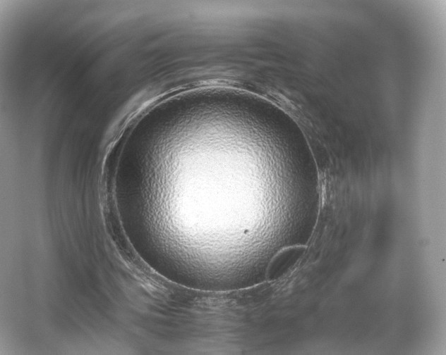 X0000067000339200603271346