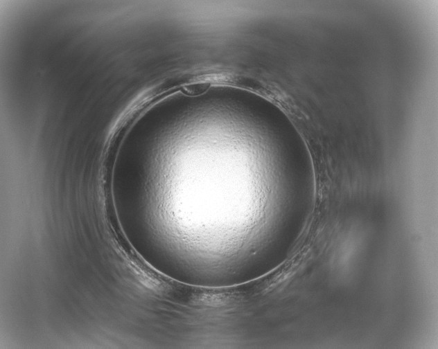 X0000067000341200603271346