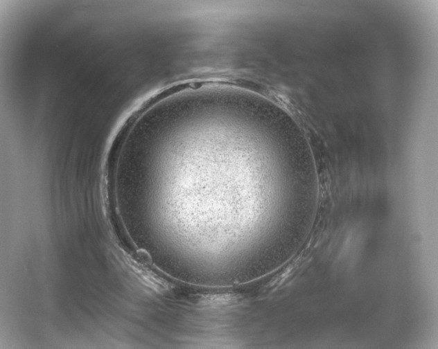 X0000067000342200603271346