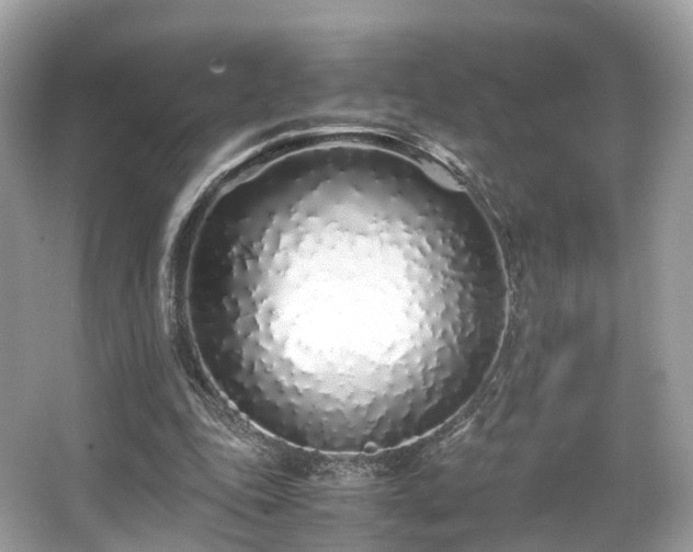 X0000067000343200603271346