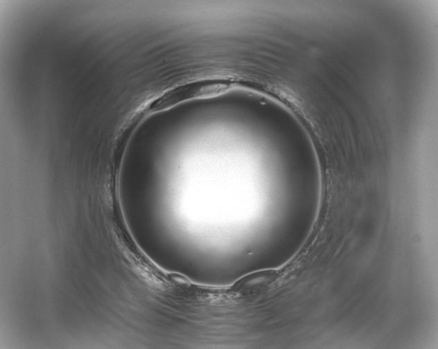 X0000067000345200603271346