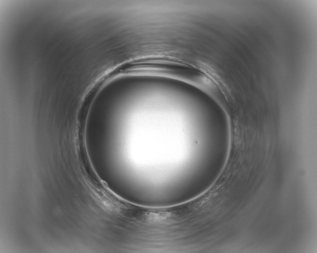 X0000067000346200603271346