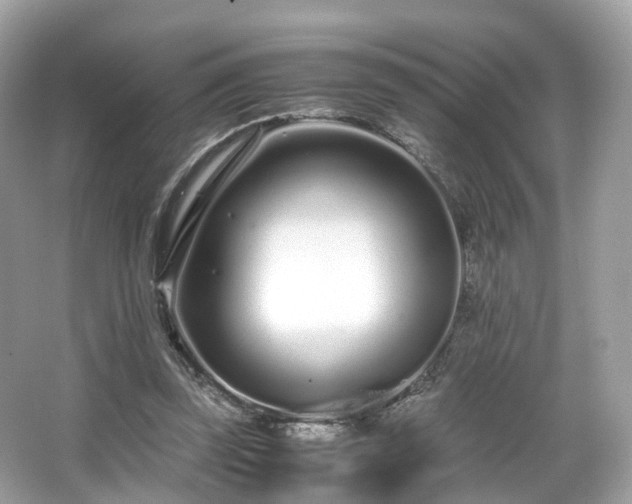X0000067000347200603271346