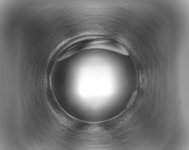 X0000067000348200603271346