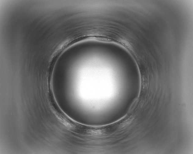 X0000067000349200603271346