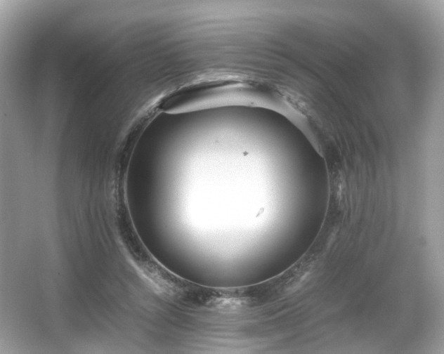 X0000067000352200603271346