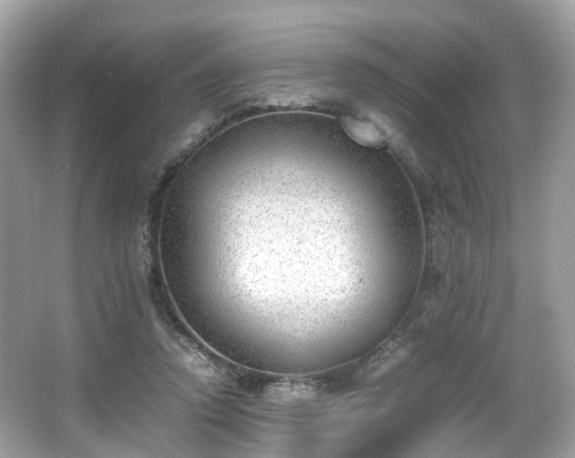 X0000067000354200603271346
