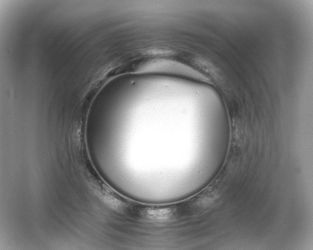X0000067000357200603271346