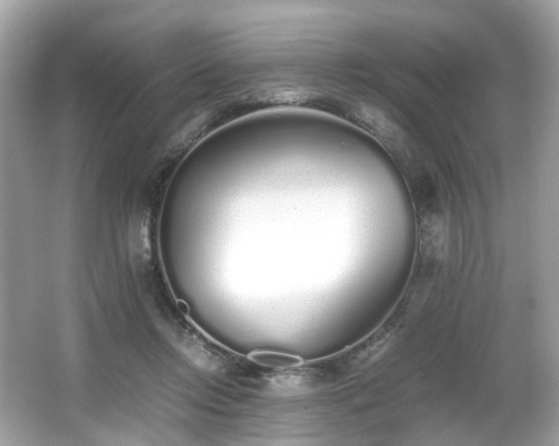 X0000067000358200603271346