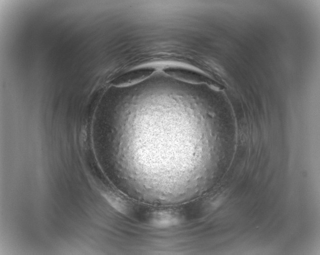 X0000067000365200603271346