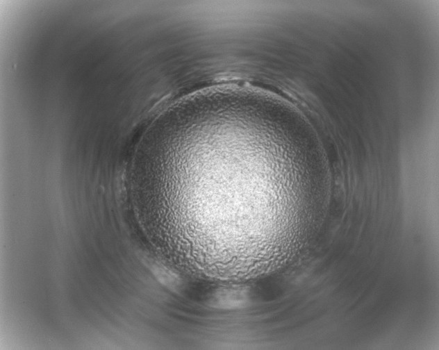 X0000067000369200603271346