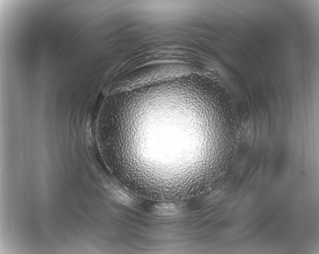 X0000067000381200603271346