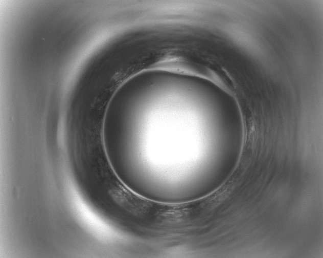 X0000067000383200603271346