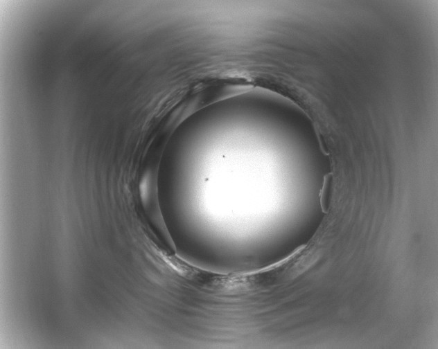 X0000067000384200603271346