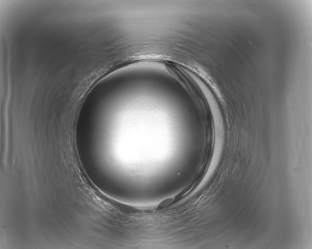X0000067000385200603271346