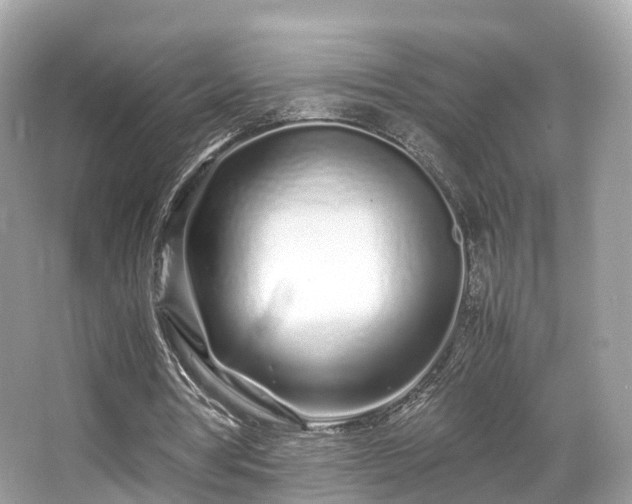 X0000067000386200603271346