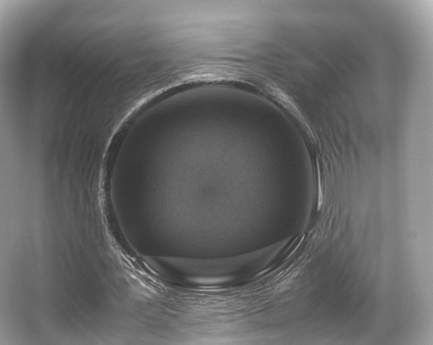 X0000067000387200603271346