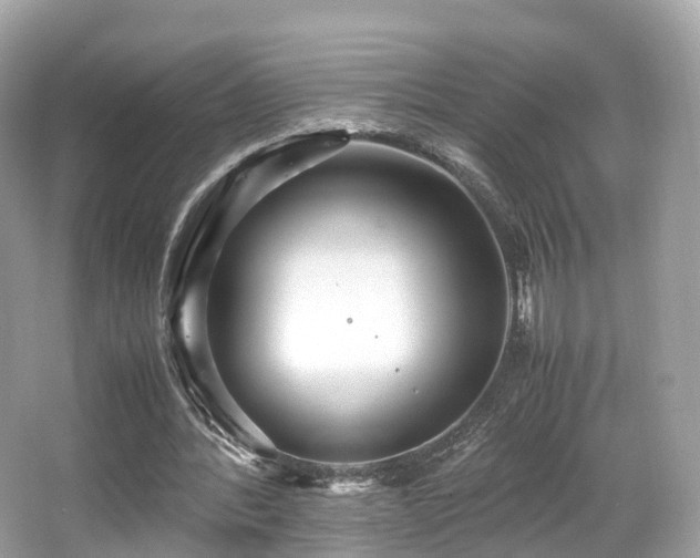X0000067000388200603271346
