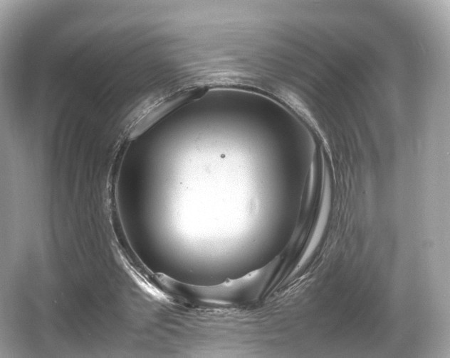 X0000067000389200603271346