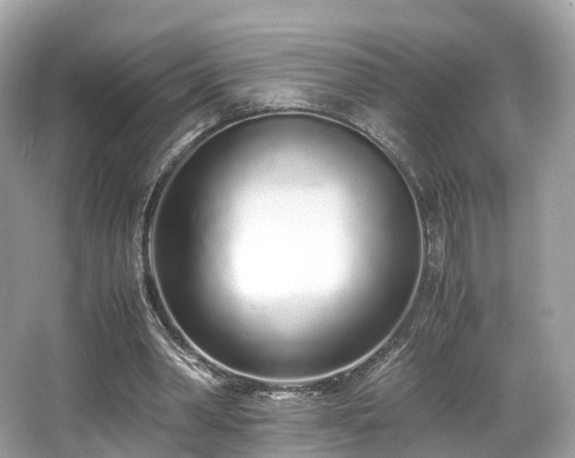 X0000067000390200603271346