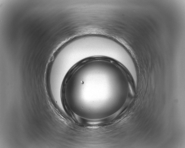 X0000067000391200603271346