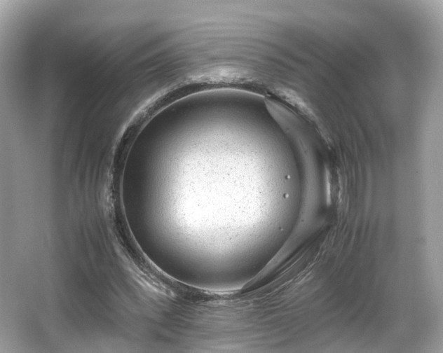 X0000067000392200603271346