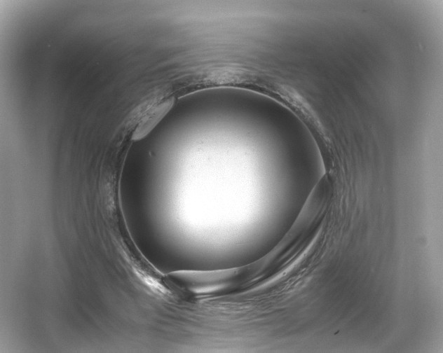 X0000067000393200603271346
