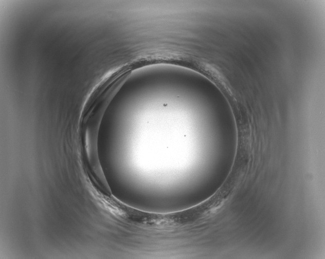 X0000067000395200603271345