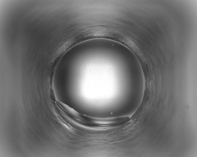 X0000067000397200603271345