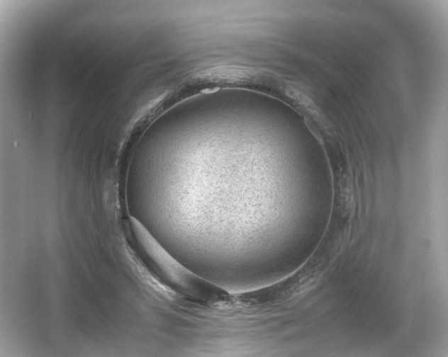 X0000067000399200603271345